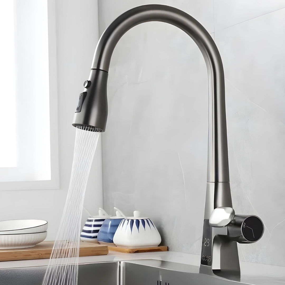 Davor classic Pull-Out Kitchen Faucet with Temperature Display-DKF2401