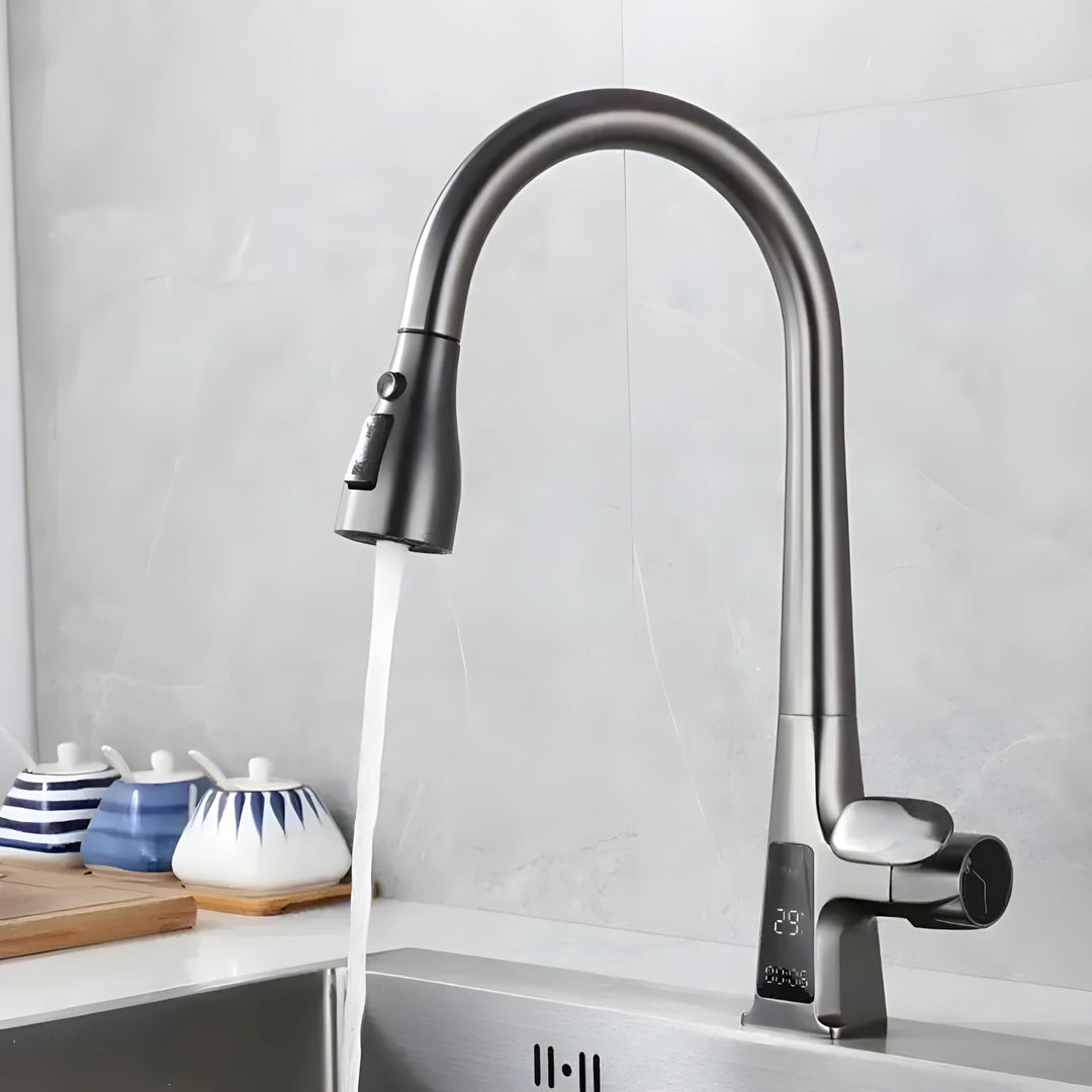 Davor classic Pull-Out Kitchen Faucet with Temperature Display-DKF2401