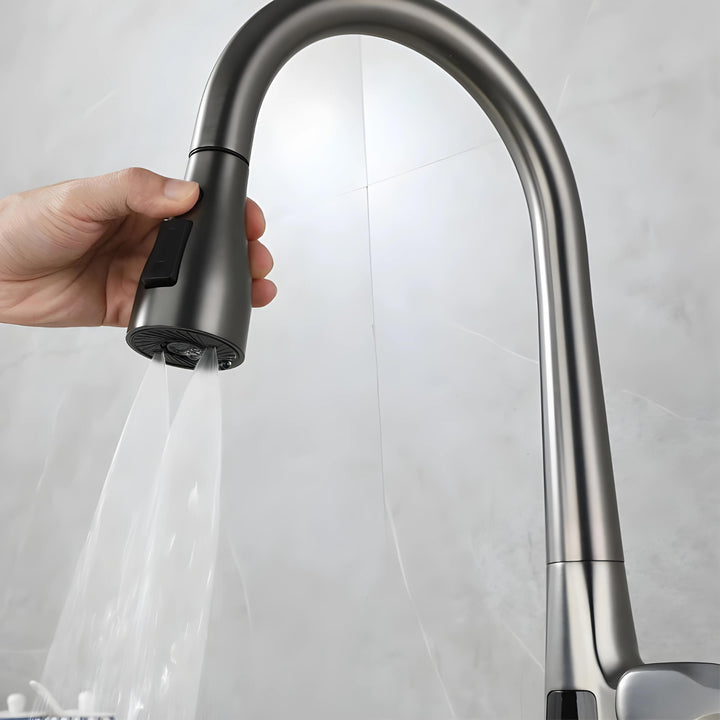 Davor classic Pull-Out Kitchen Faucet with Temperature Display-DKF2401